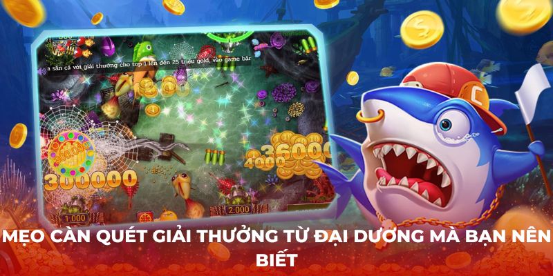 Mẹo càn quét giải thưởng từ đại dương mà bạn nên biết